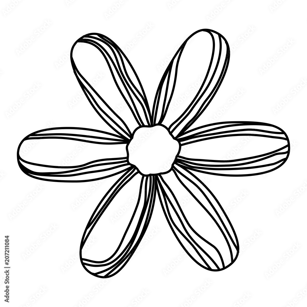beautiful flower decorative icon vector illustration design beautiful flower decorative icon vector illustration design