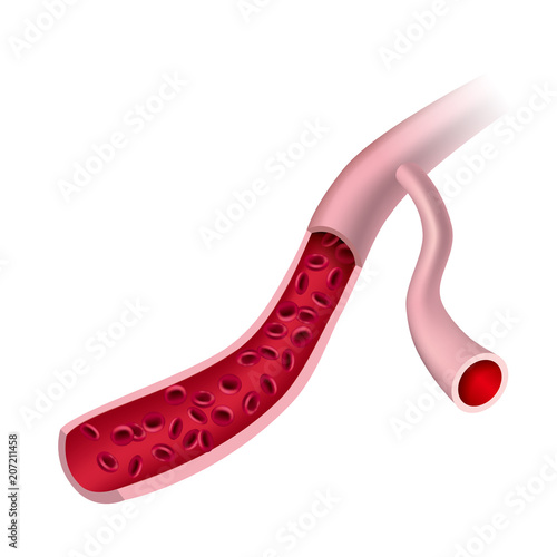 Vector drawn red cell,isolated on white background.