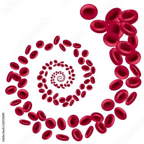 Vector drawn red cell,isolated on white background.