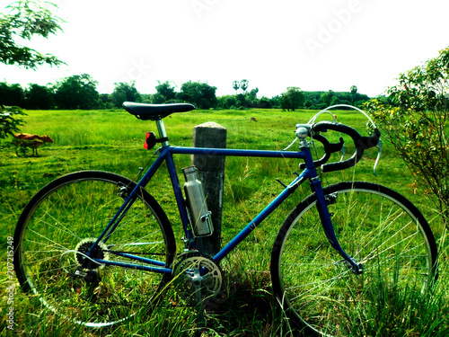 blue bicycle grass