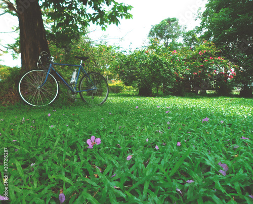 bicycle nature garden