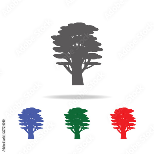 cedar tree icon. Elements of trees in multi colored icons. Premium quality graphic design icon. Simple icon for websites, web design, mobile app, info graphics