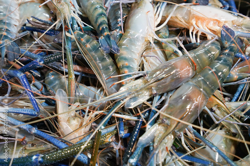 Giant freshwater prawn in seafood market