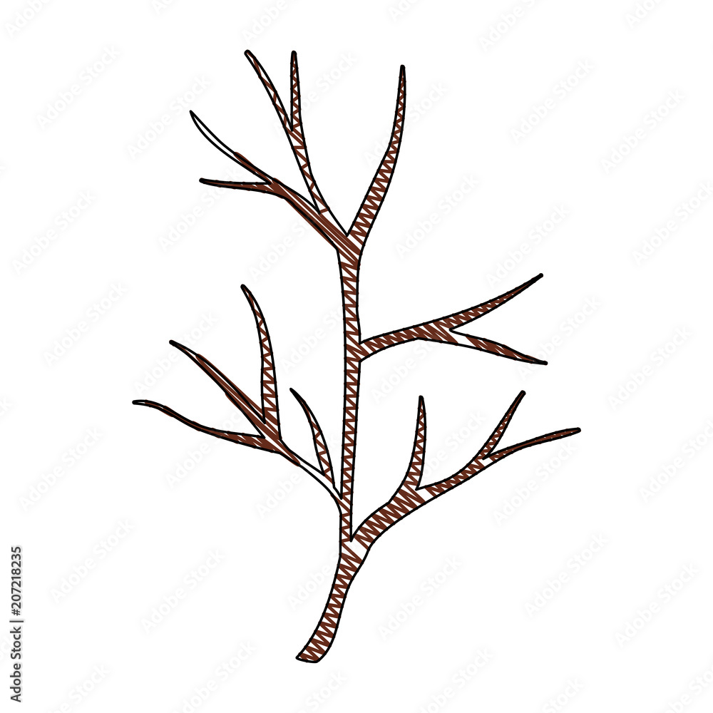 Fototapeta premium autumn tree branche wooden vector illustration design