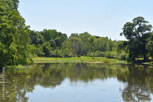 fresh water lake surrounded by green grass and trees backdrop