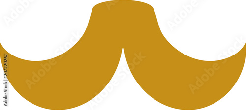 Colorful respectable beard