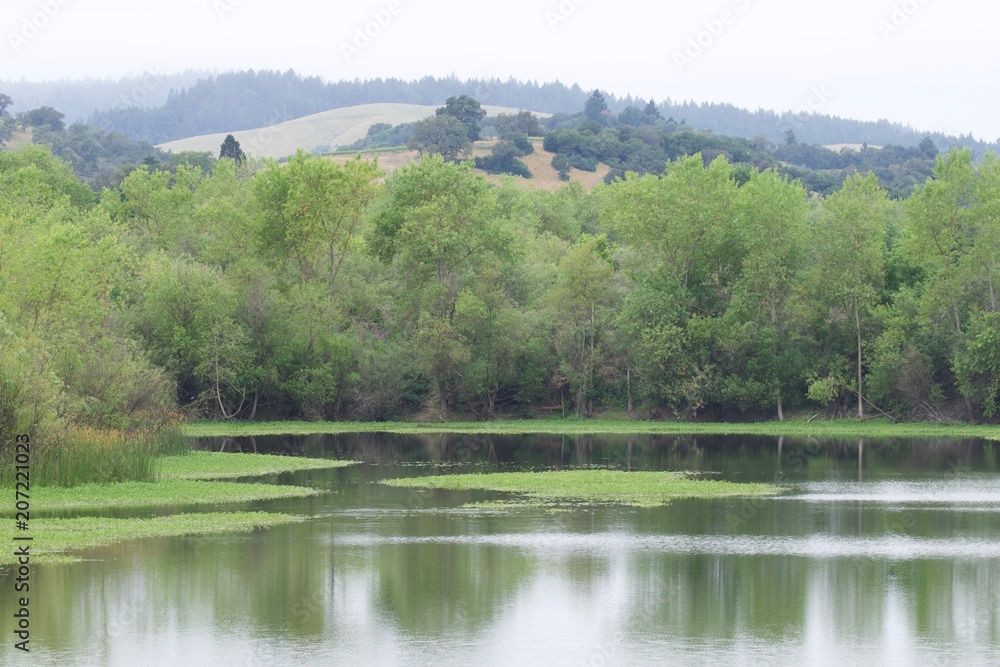 Riverfront Regional Park - two beautiful lakes for fishing, kayaking, canoeing and stand up paddling. A trail loops around the larger lake, Lake Benoist, with beach on the Russian River, redwood