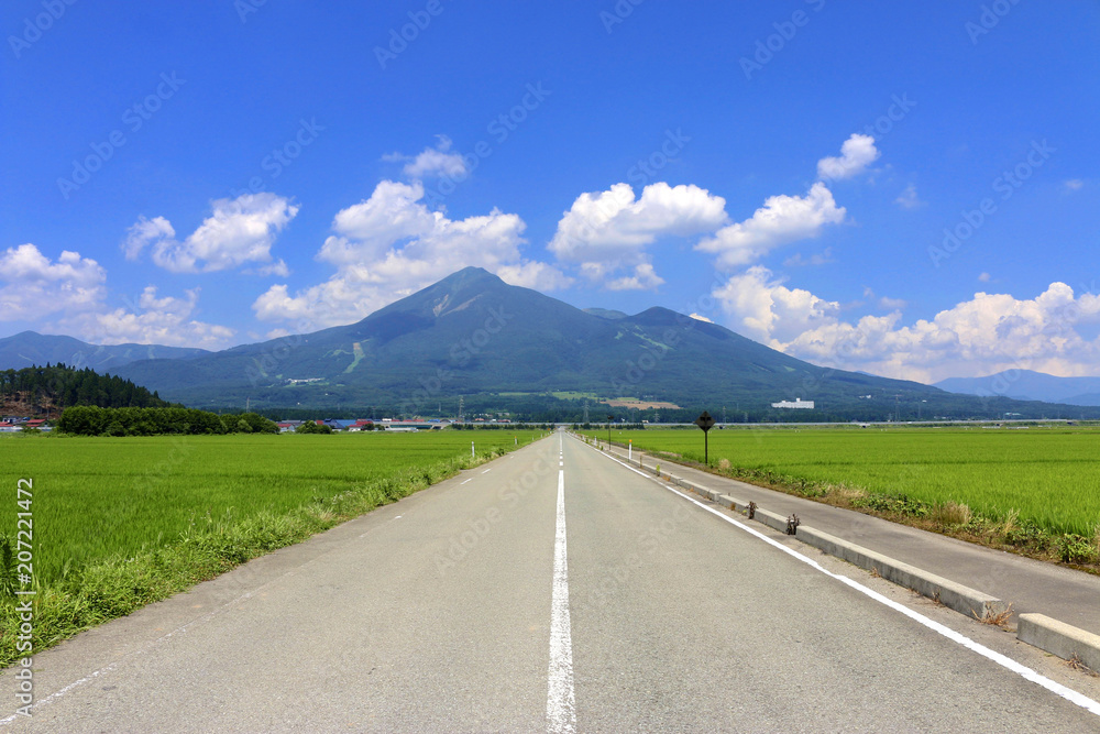 Naklejka premium 磐梯山へ続く道（福島県・猪苗代町）