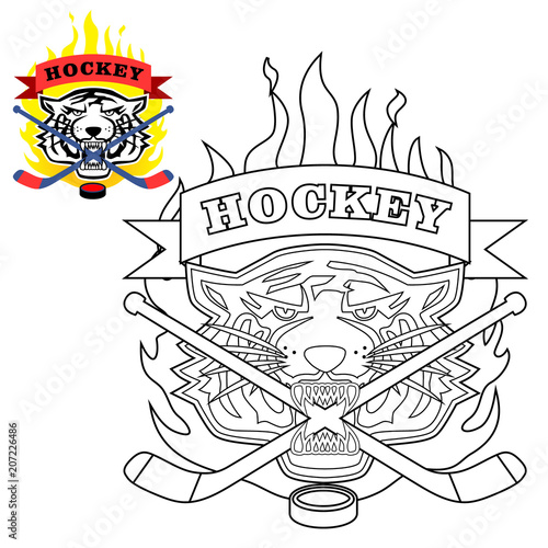 Photography Vector of tiger head with sport logo, coloring page or book