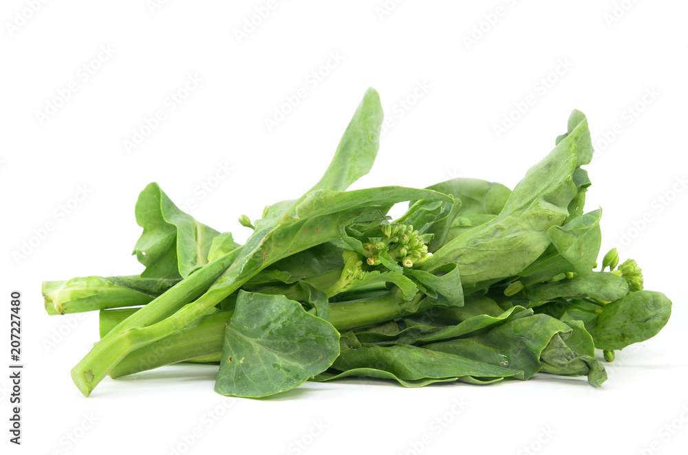 Chinese Kai Lan vegetables Chinese Kai Lan vegetables