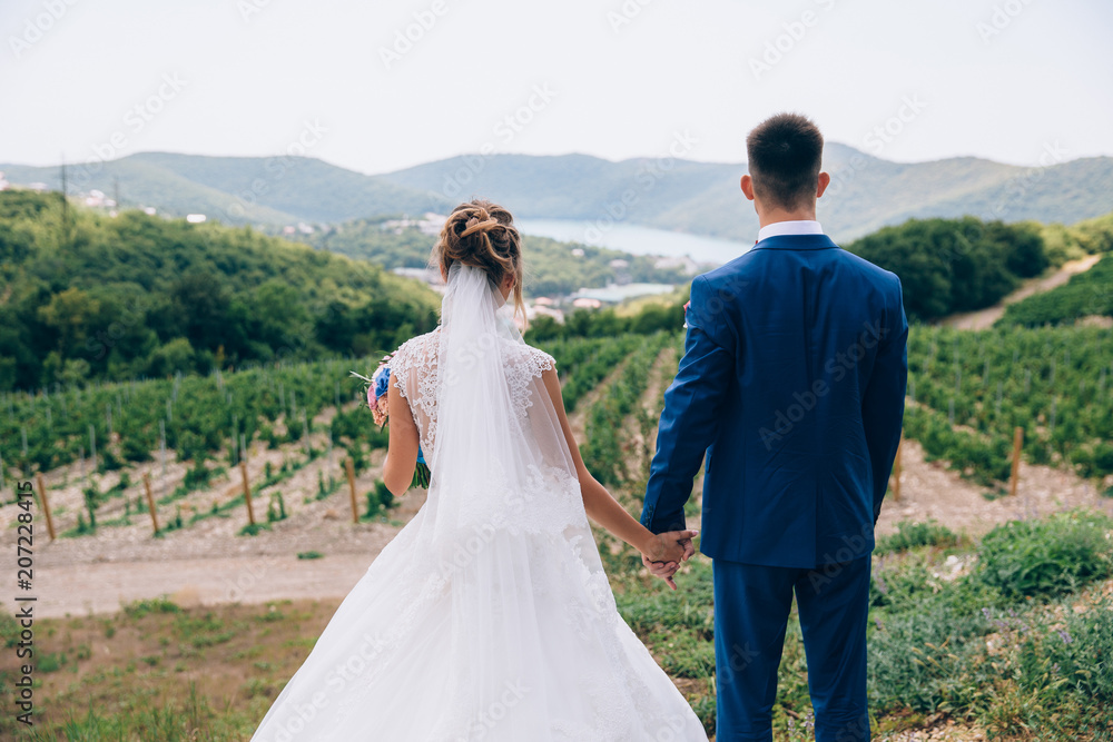 A man and a woman just married, they are holding hands tightly and looking to the future. The couple admire the beauty of nature, the sun. A girl in a beautiful wedding dress and a man in a suit