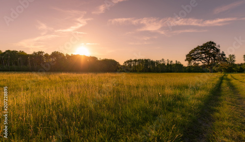 Sonnenuntergnag auf einer Sommerwiese- abendstimmung © js-photo