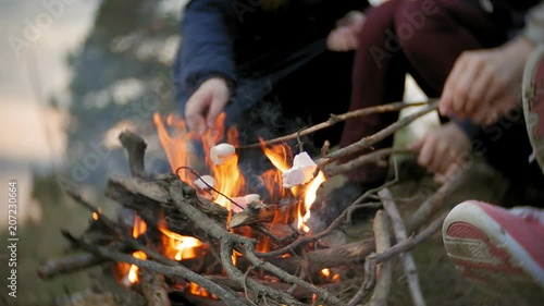 Happy family of tourists on a journey. Mom and children fry marshmallows on the fire near the tent