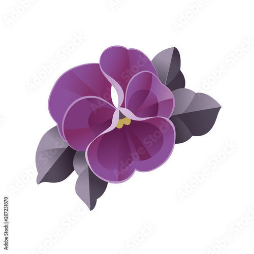 violet flower vector watercolor illustration