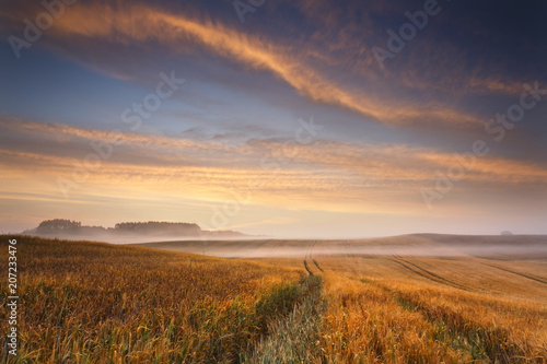 Luminous landscape beautiful sunrise on the field.   Misty morning in north Poland
