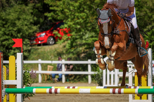 Horse in flight phase with rider over an obstacle on a jumping tournament..