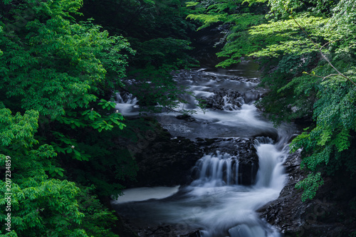 宮城県 鳳鳴四十八滝 houmeosizyuuhachitaki-waterfall