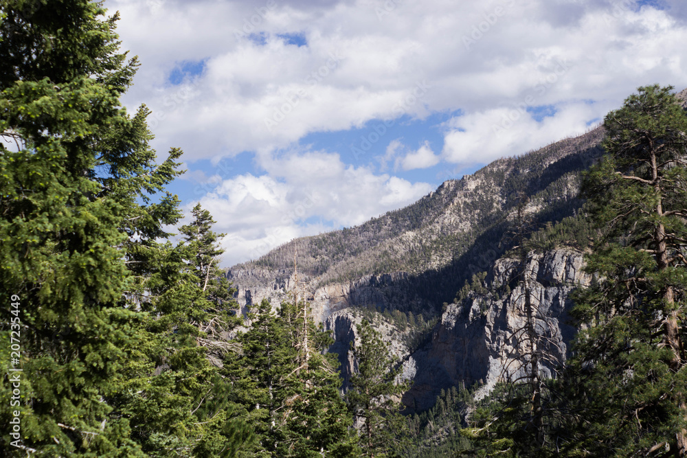 Fototapeta premium reststop