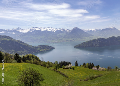 Landscape view of Lucern lake   Apls mountain with grass flower in spring season