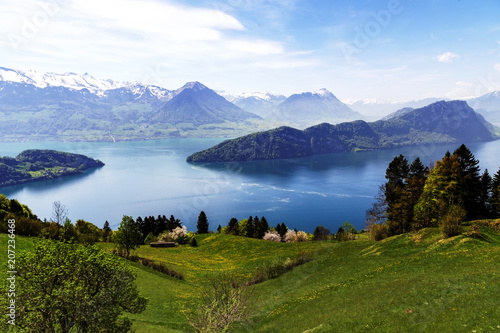 Landscape view of Lucern lake , Apls mountain with grass flower in spring season
