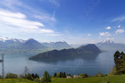 Landscape view of Lucern lake , Apls mountain with grass flower © mathisa