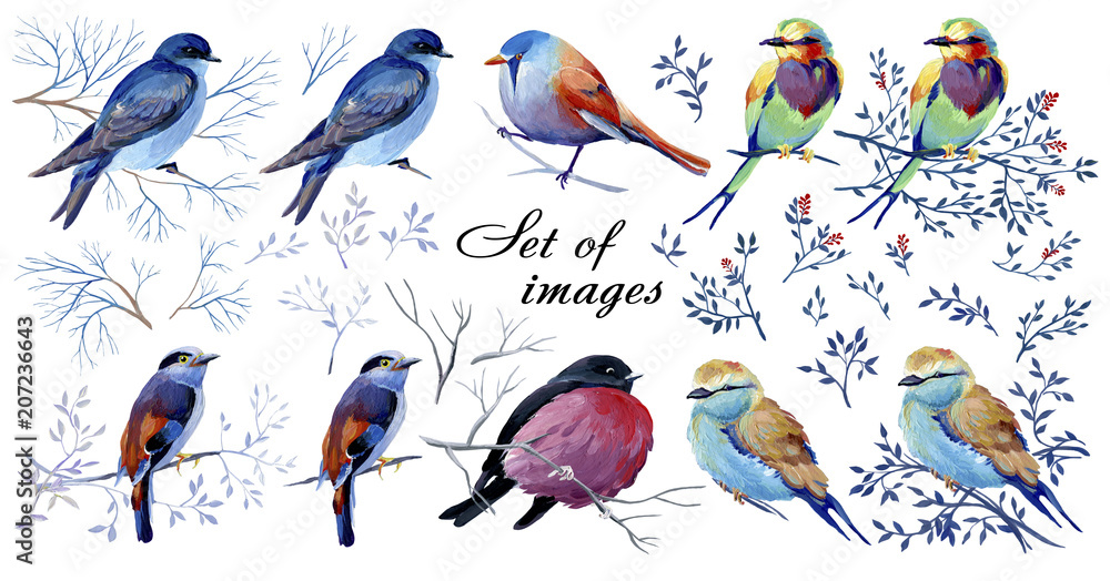 Set of gouache birds on a branches. Natural cliparts for wedding design, artistic creation.