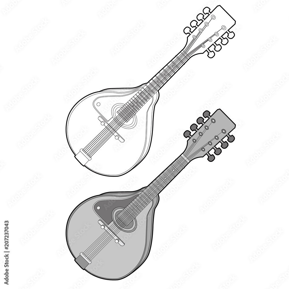 Fototapeta premium Mandolin vector design illustration template