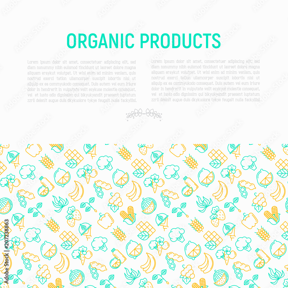 Organic products concept with thin line icons set: corn, peas, raw cafe, broccoli, grapes, sprouts, seaweed, watermelon, bananas, fresh juice. strawberry. Modern vector illustration for vegetable shop