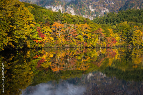 Fototapeta Naklejka Na Ścianę i Meble -  Togakushi's Lake  , Kagami-ike pond in autumn morning