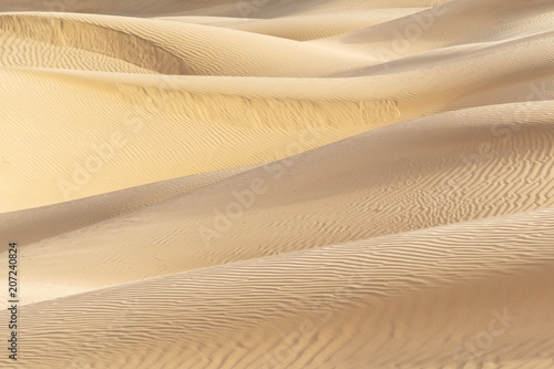 Beautiful sand dune in Thar desert, Jaisalmer, Rajasthan, India. © tanarch