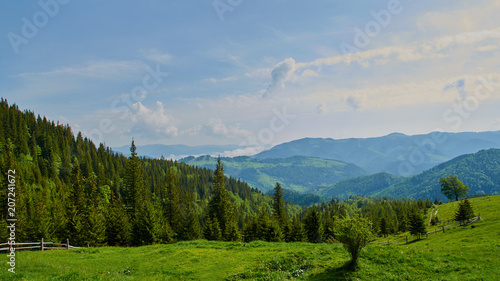 Panorama of Carpathian mountains hills in the summer morning. Beautiful nature in Ukraine © oksanafra
