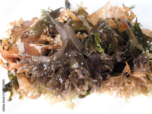 Irish Moss -  Carrageen Moss – Musgo de Irlanda. 

Binomial name: Chondrus Crispus. It is a sea vegetable or edible red seaweed.