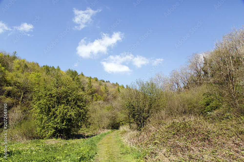Path through a typical Welsh valley with trees and sunny ble skies - Ilston Valley, Wales Path through a typical Welsh valley with trees and sunny ble skies - Ilston Valley, Wales