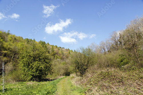 Path through a typical Welsh valley with trees and sunny ble skies - Ilston Valley, Wales