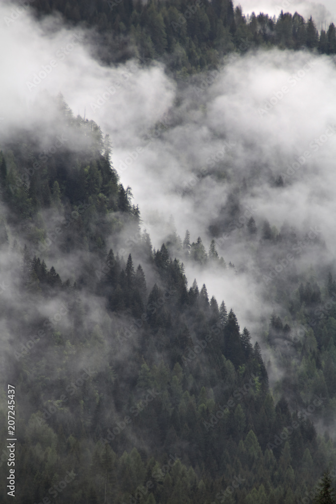 foggy clouds rising from dark mountain forest