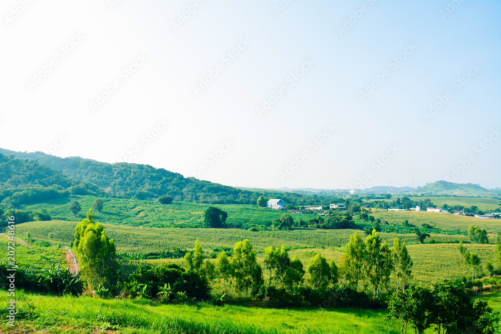 Phu Tubberk mountain landscape view with the forest background Phu Tubberk mountain landscape view with the forest background