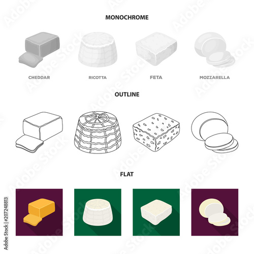 Mozzarella, feta, cheddar, ricotta.Different types of cheese set collection icons in flat,outline,monochrome style vector symbol stock illustration web.