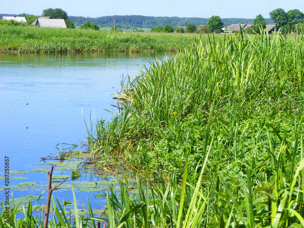 Obraz premium Beautiful ethnic houses on rural landscape, river in Belarus