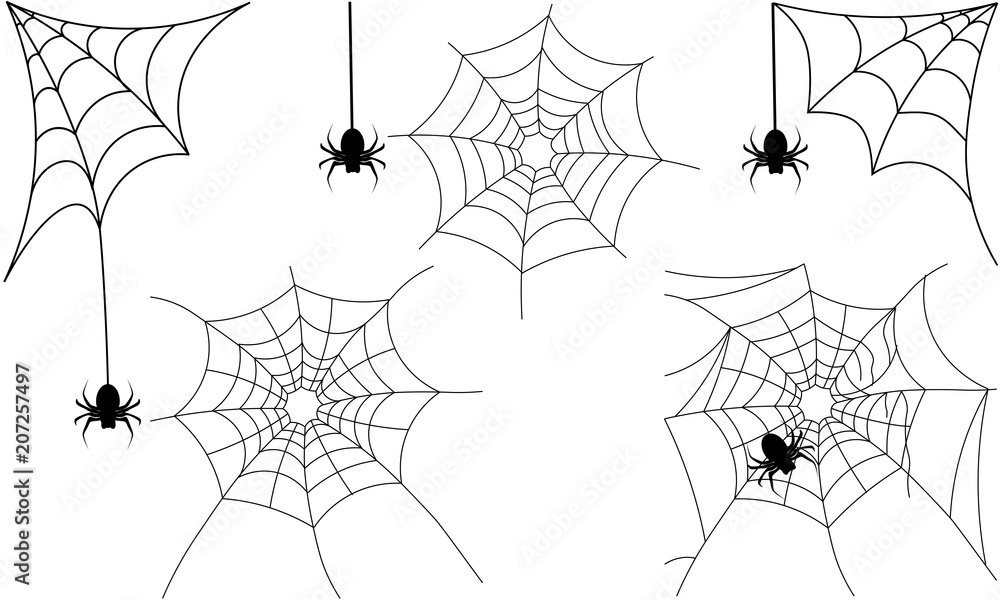 Obraz premium spiderweb