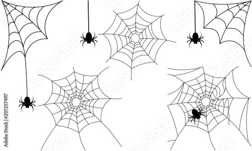 spiderweb