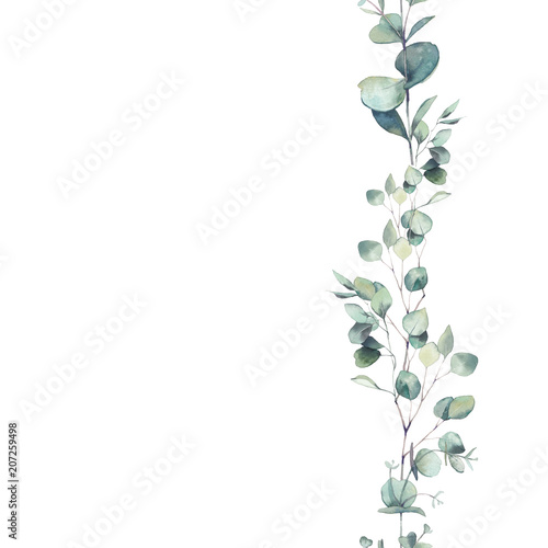 Watercolor eucalyptus branches ornament. Hand painted floral repeating frame isolated on white background.