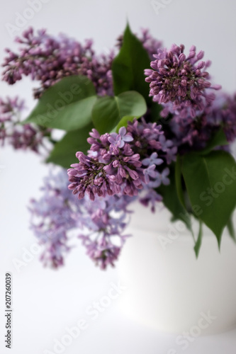 A bouquet of lilac in white pots
