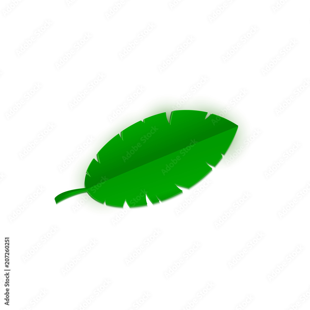 Tropical banana palm leaf in trandy paper cut style. Craft summer jungle plant isolated on white background for package design, T-shirt printing. Vector card illustration in papercutting art style Tropical banana palm leaf in trandy paper cut style. Craft summer jungle plant isolated on white background for package design, T-shirt printing. Vector card illustration in papercutting art style