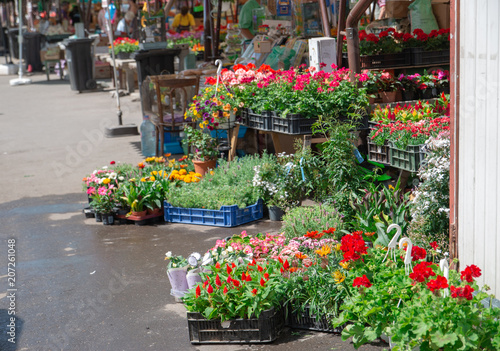 Flower Market Blumenmarkt
