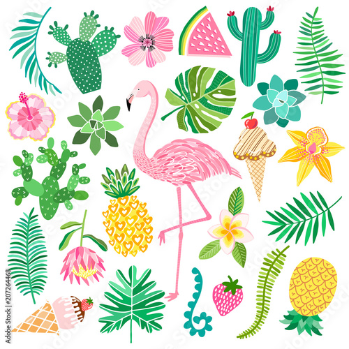 Tropic summer vector set