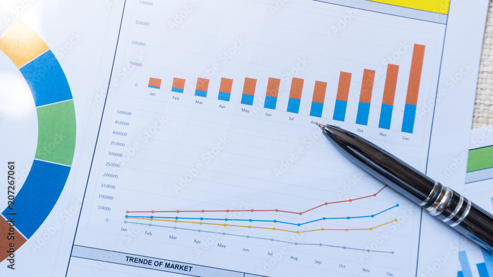 business report statement with graph and data analysis