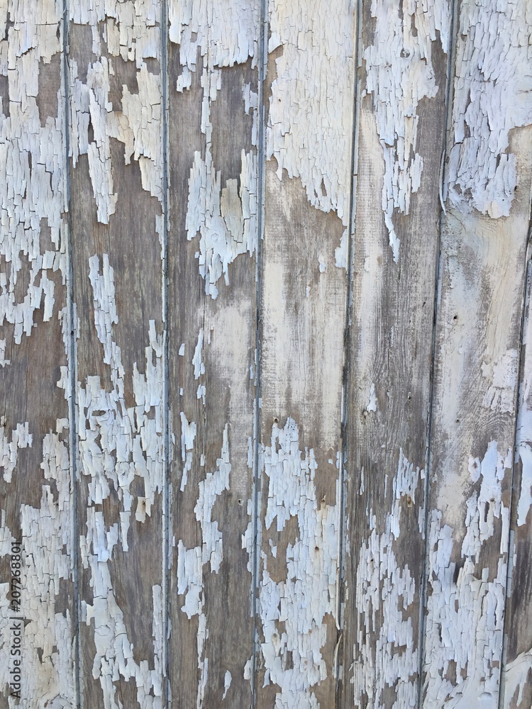 Obraz premium Holzwand mit Krokant