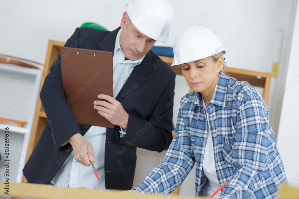 checking the project development checking the project development