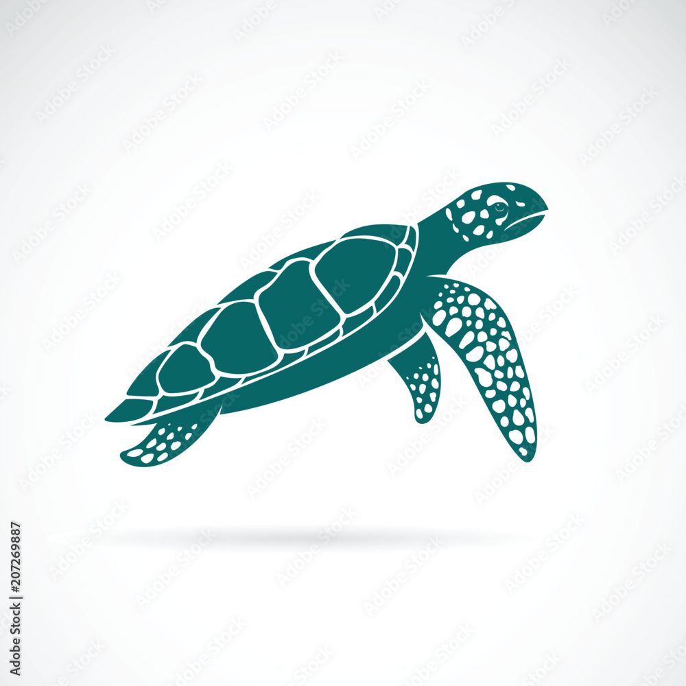 Fototapeta premium Wektor żółwia morskiego na białym tle. Zwierzę. Organizm pod powierzchnią morza. Łatwe edytowanie warstwowych ilustracji wektorowych.