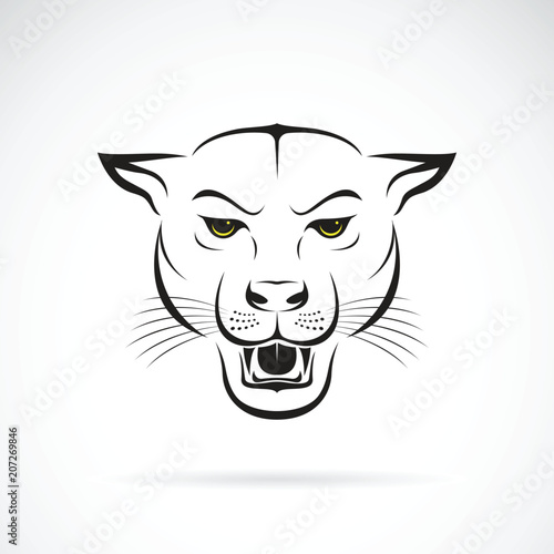 Vector of an angry panther head on white background. Wild Animals. Vector illustration. Easy editable layered vector illustration.
